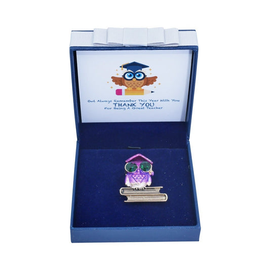 Teacher Thank You Gift Wise Owl Brooch Keepsake Box For Women Men Lecturer