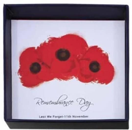 Diamante Poppy Pins Brooch 2022 UK Seller Keepsake Gifts Poppy Accessories Women Remembrance Day Memorial Day Poppy Day